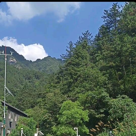 大棚订制