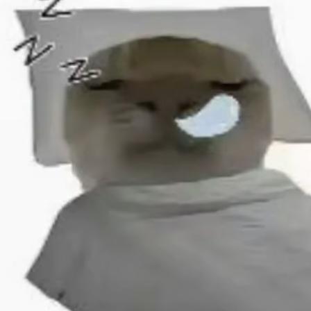 。。。。？