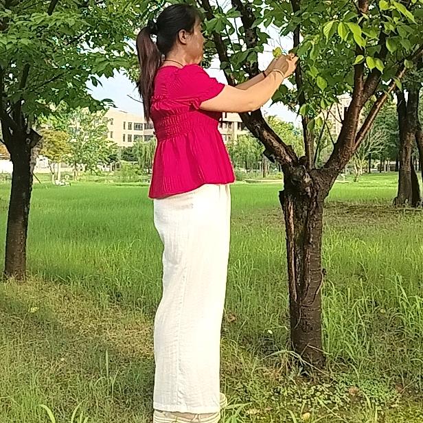 陇上佳人231