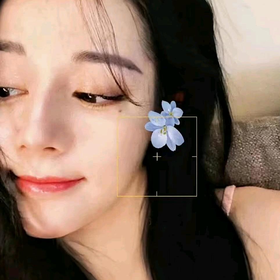 @记住我叫dear迪崽