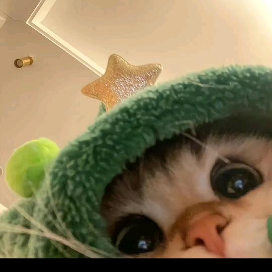 重生之我在佛山洗纹身