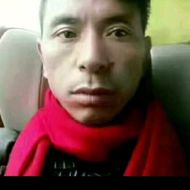 等你归来