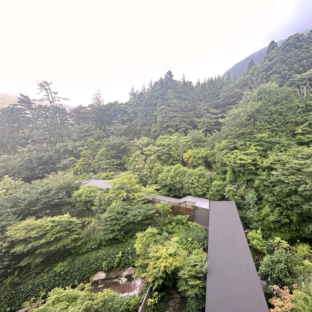 李先生_