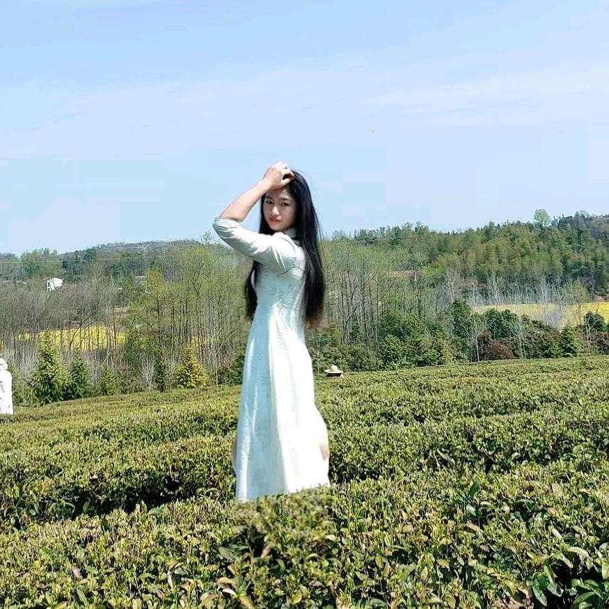 芊芊（西西团队）
