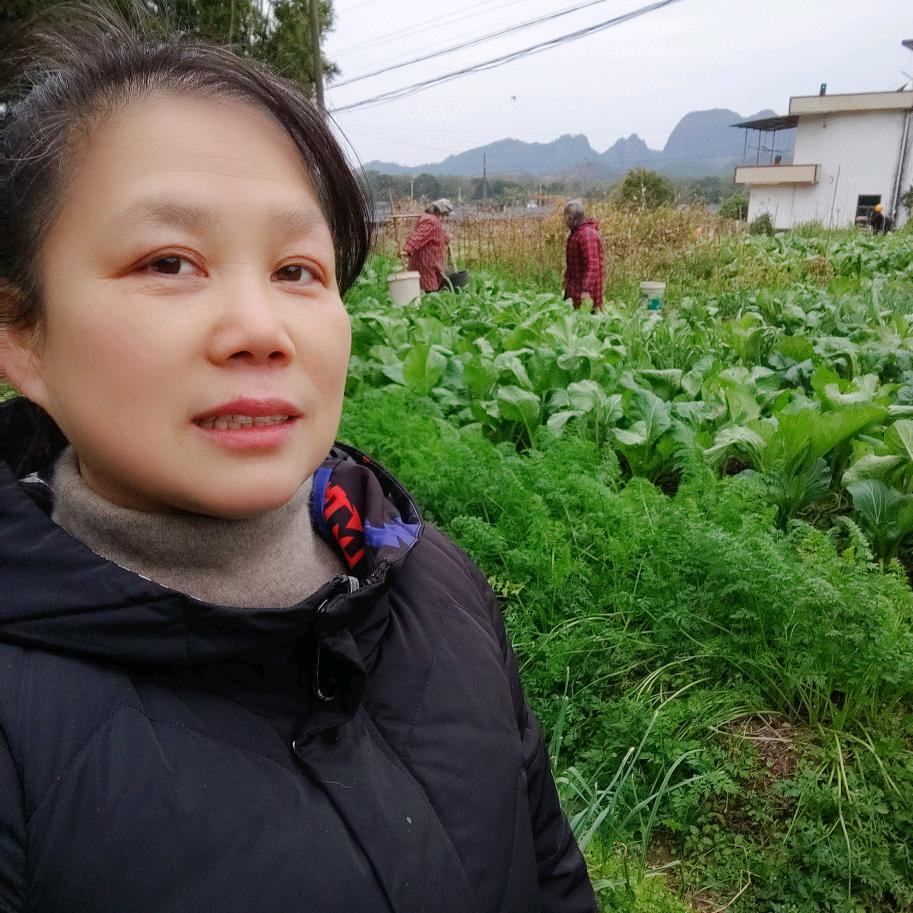 萍姐农资（商品厨窗）