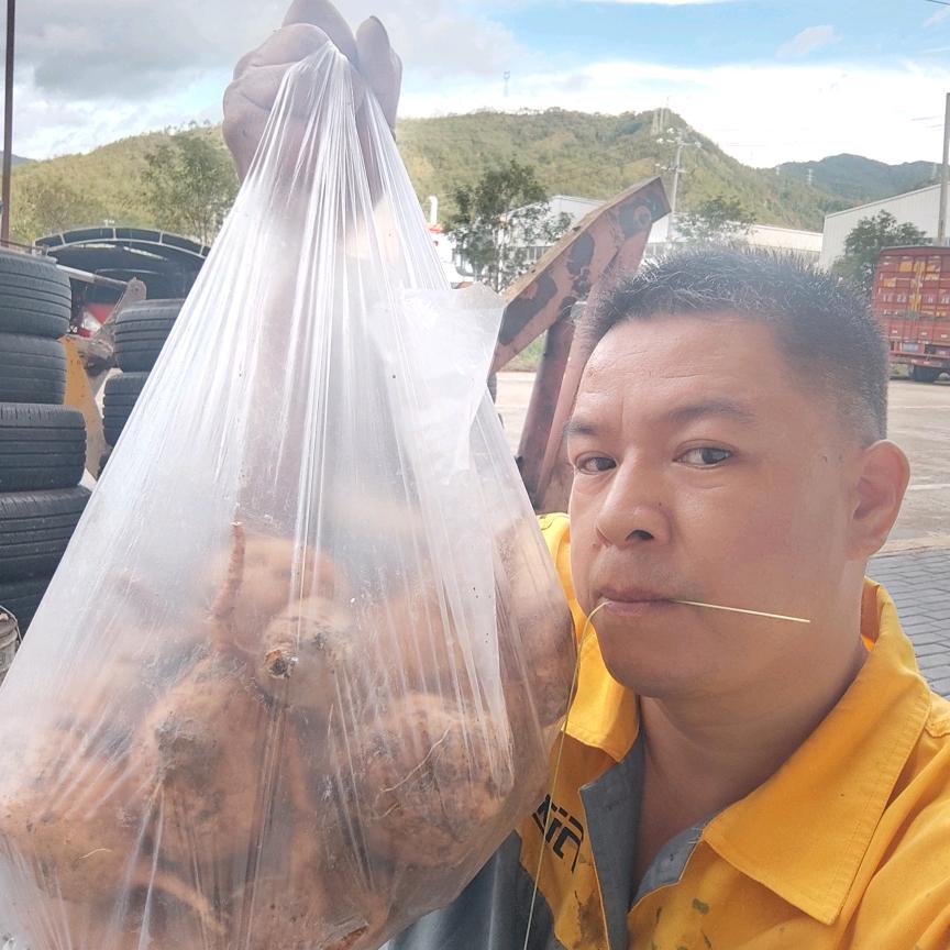 一针一线