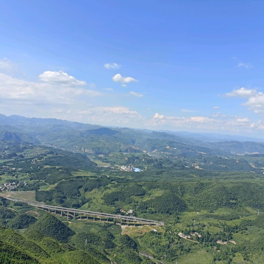 用户黎姐