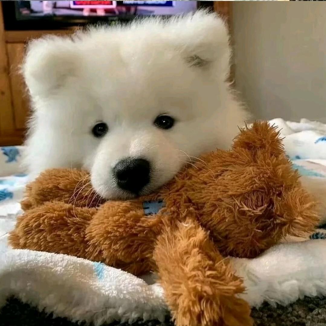 牛醒醒（学习中）