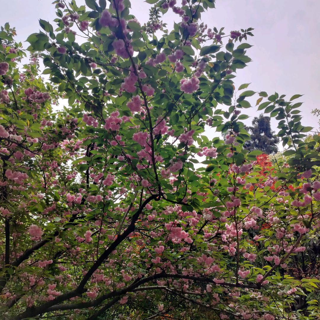 执着