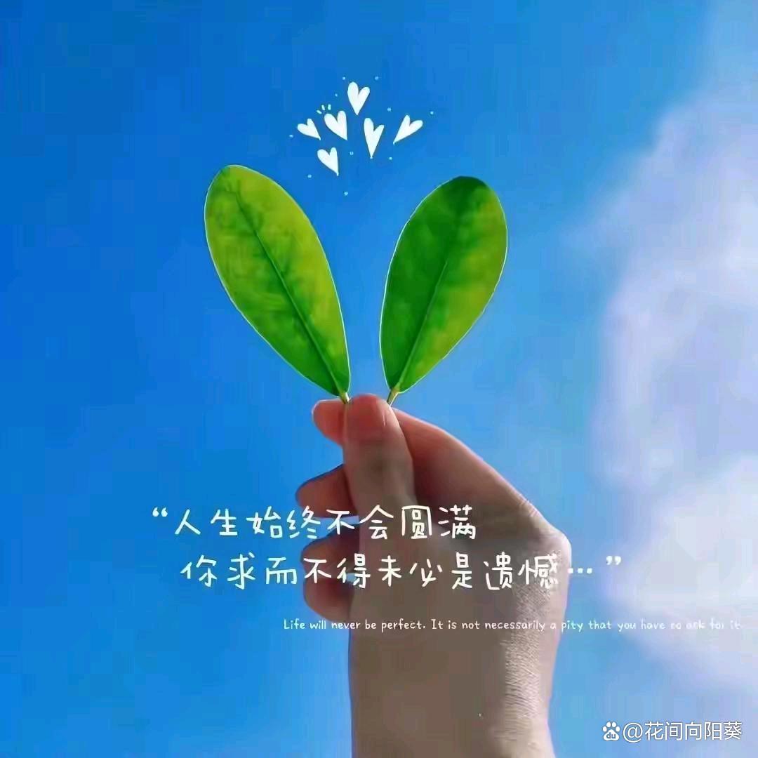 海阔🍎🍒天空🍒