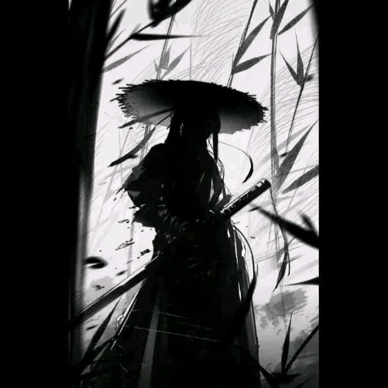亦枫
