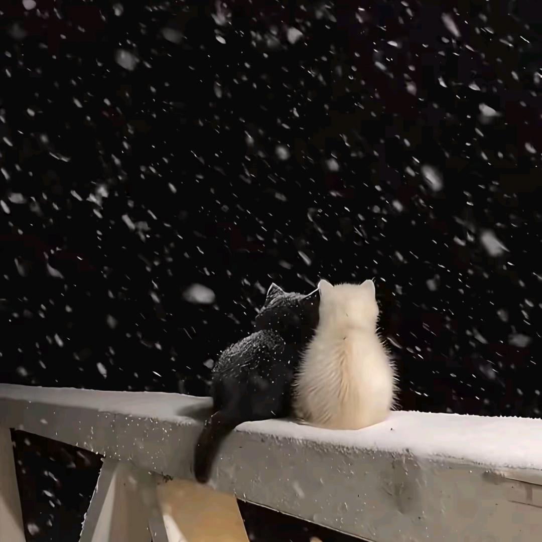 風