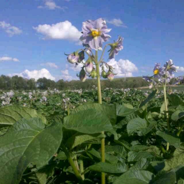 陈国军13832295444