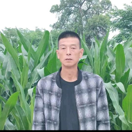 平凉红牛哥301