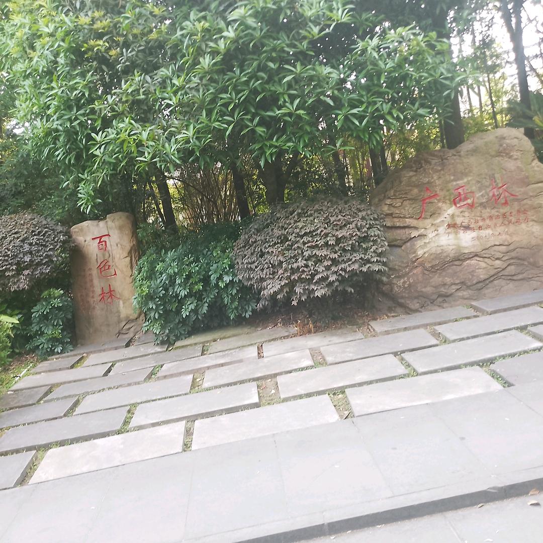 ꧁꫞家林歌💞꫞꧂