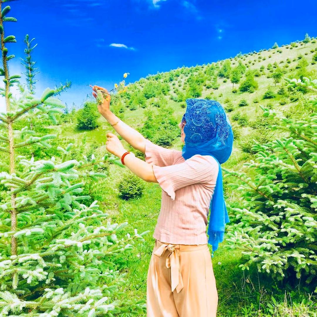 释怀