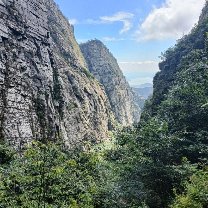 是小王呀