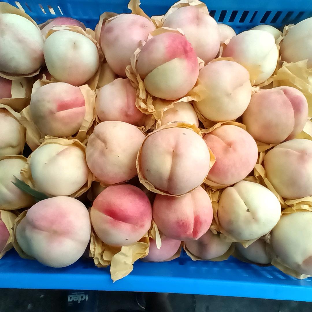 宁海荸荠（马蹄） 66917768