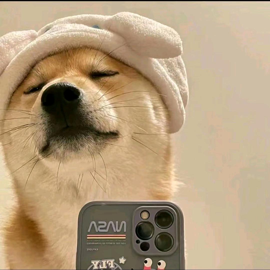 小开莫得感情