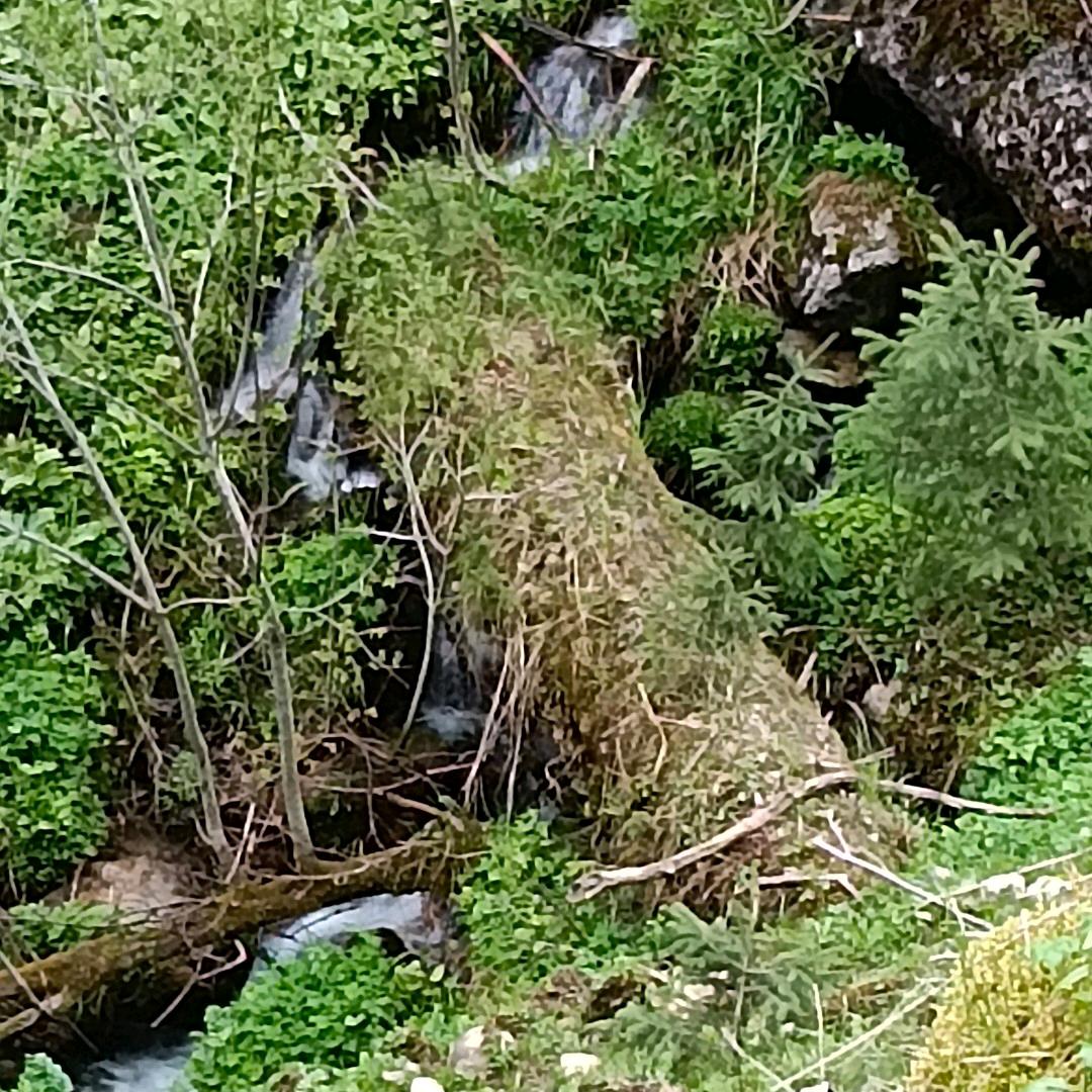 水电王子