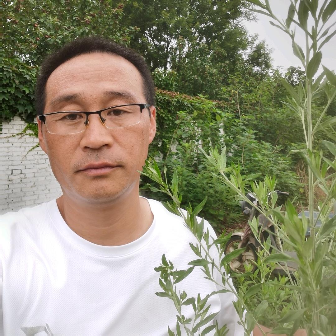 泽正甄艾