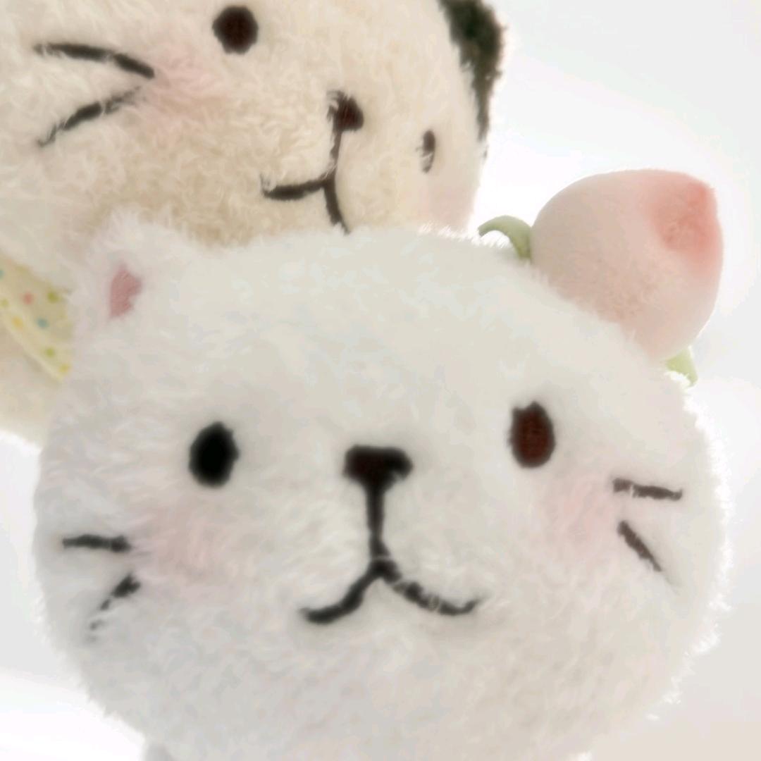 圆