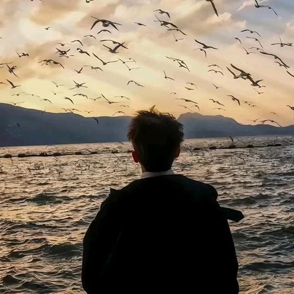 ··· 男人 贵 在稳 ···