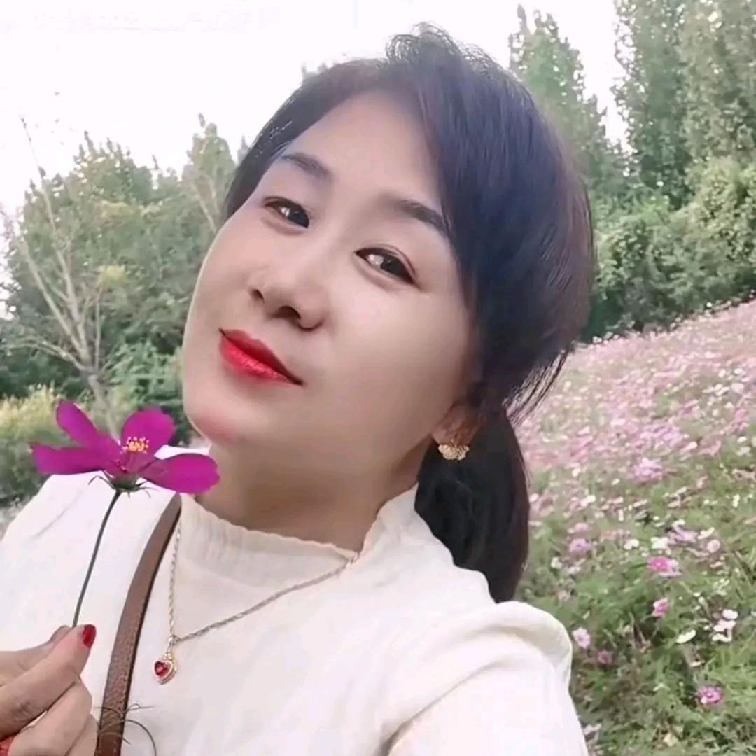 艺能导热油炉