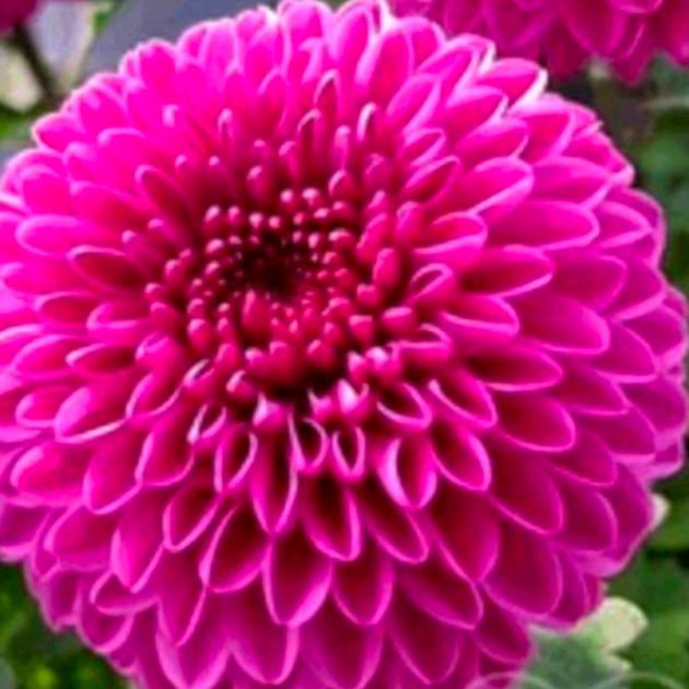 从头再来，天天开心