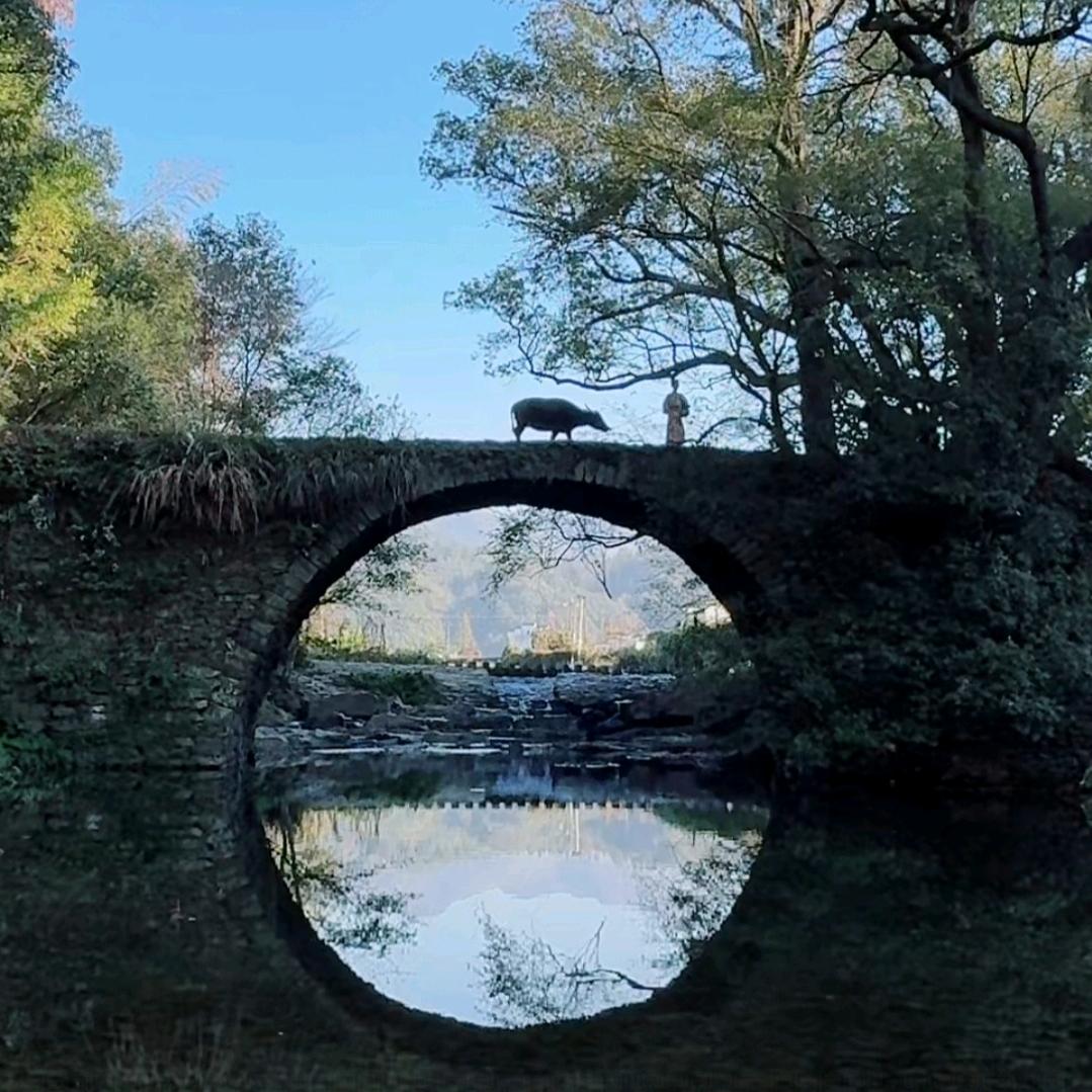 ★大华强★一步三摇★