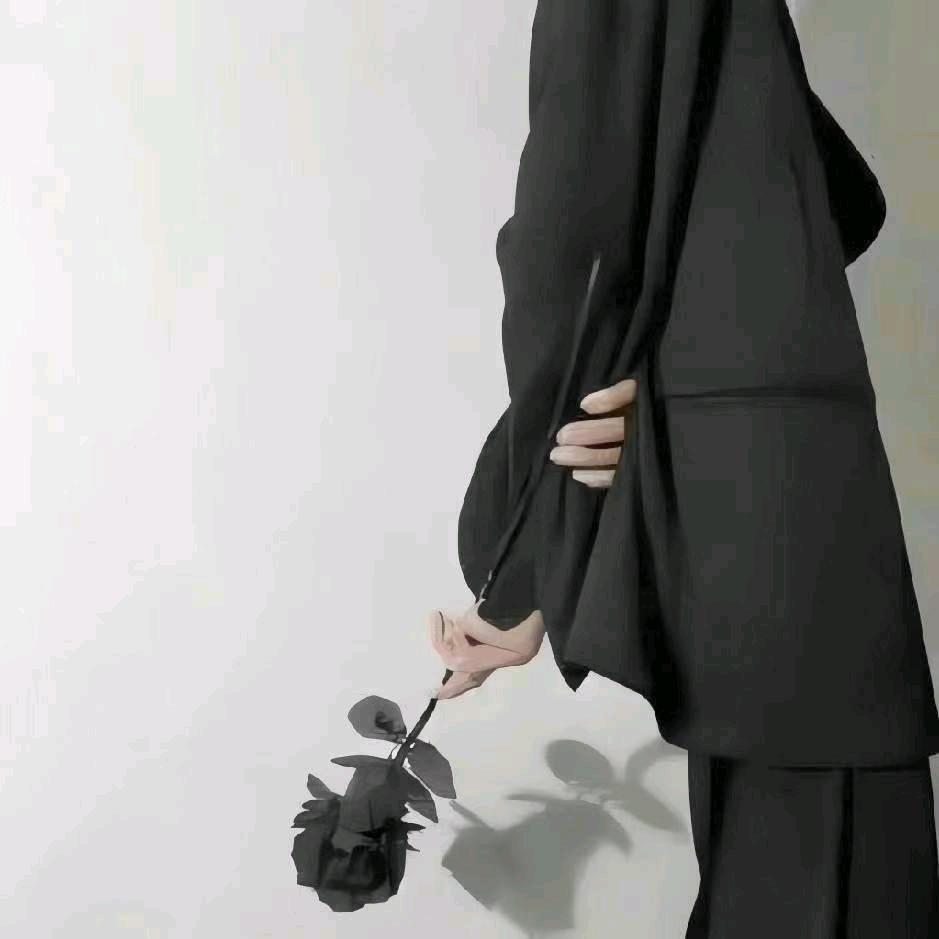 圆枫