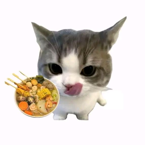 不知道取什么名字呀