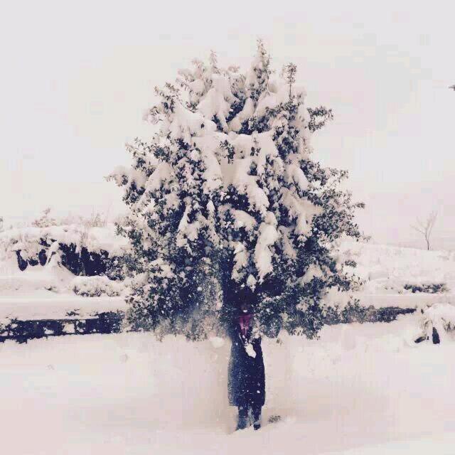 ✨快乐的小青菜🐳