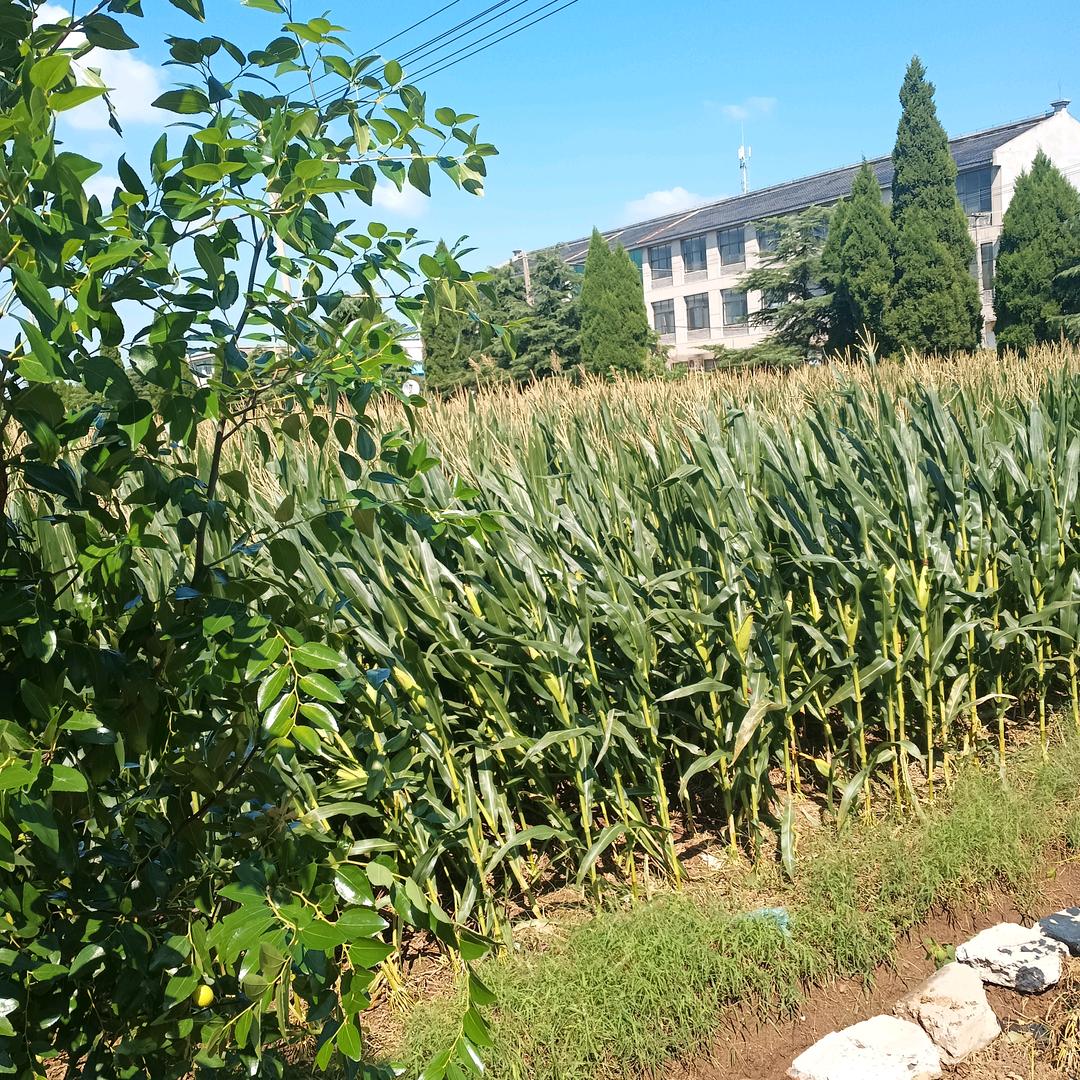 专业订制汽车脚垫座套