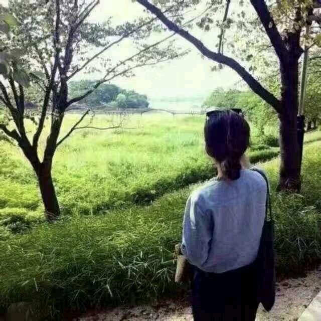 玲姐