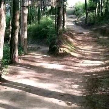 随遇而安安