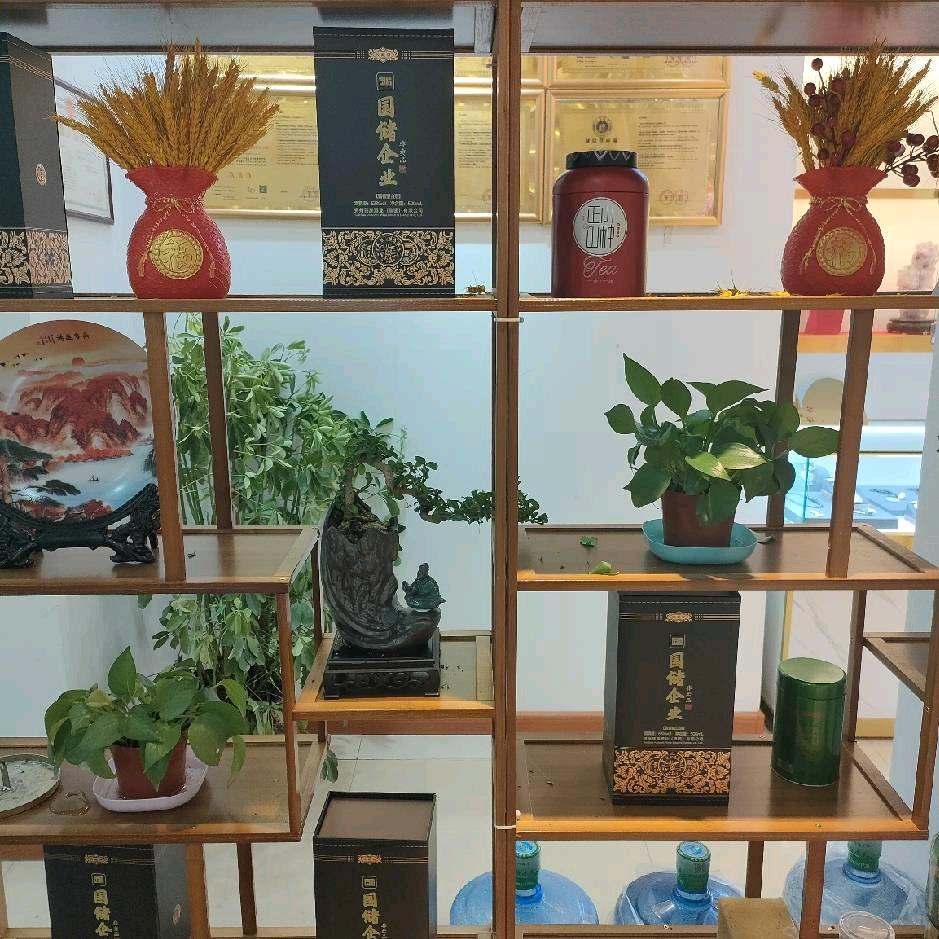 锤子兄,