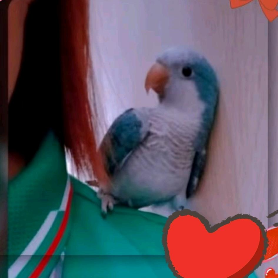 小新没蜡笔🙈🙈