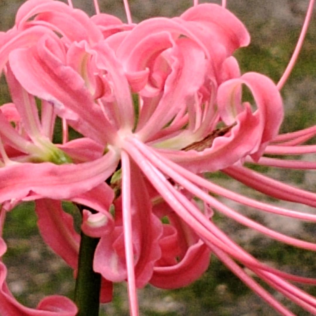 潇潇洒洒过一生