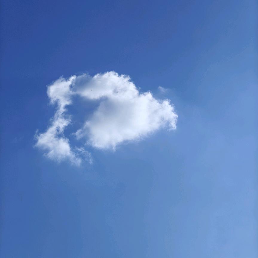 轩夷课堂-安老师