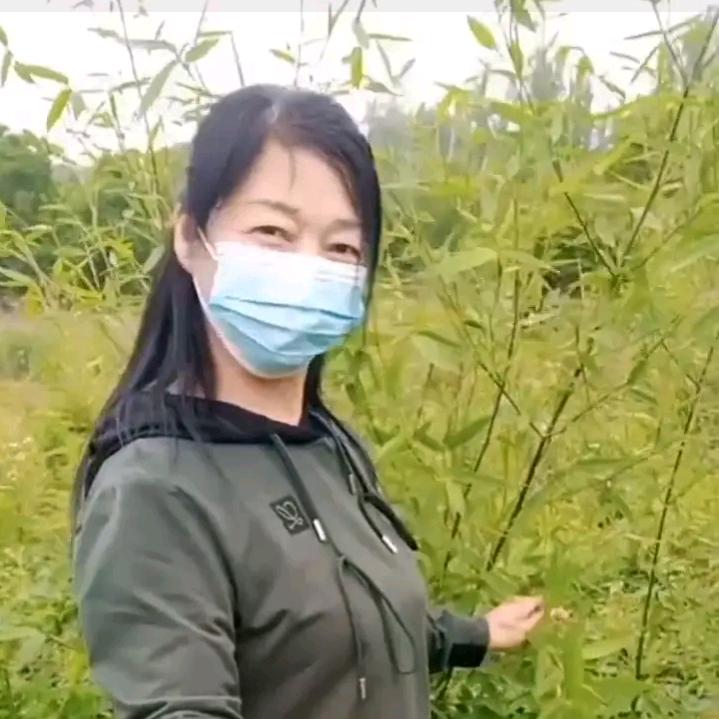 苹姐