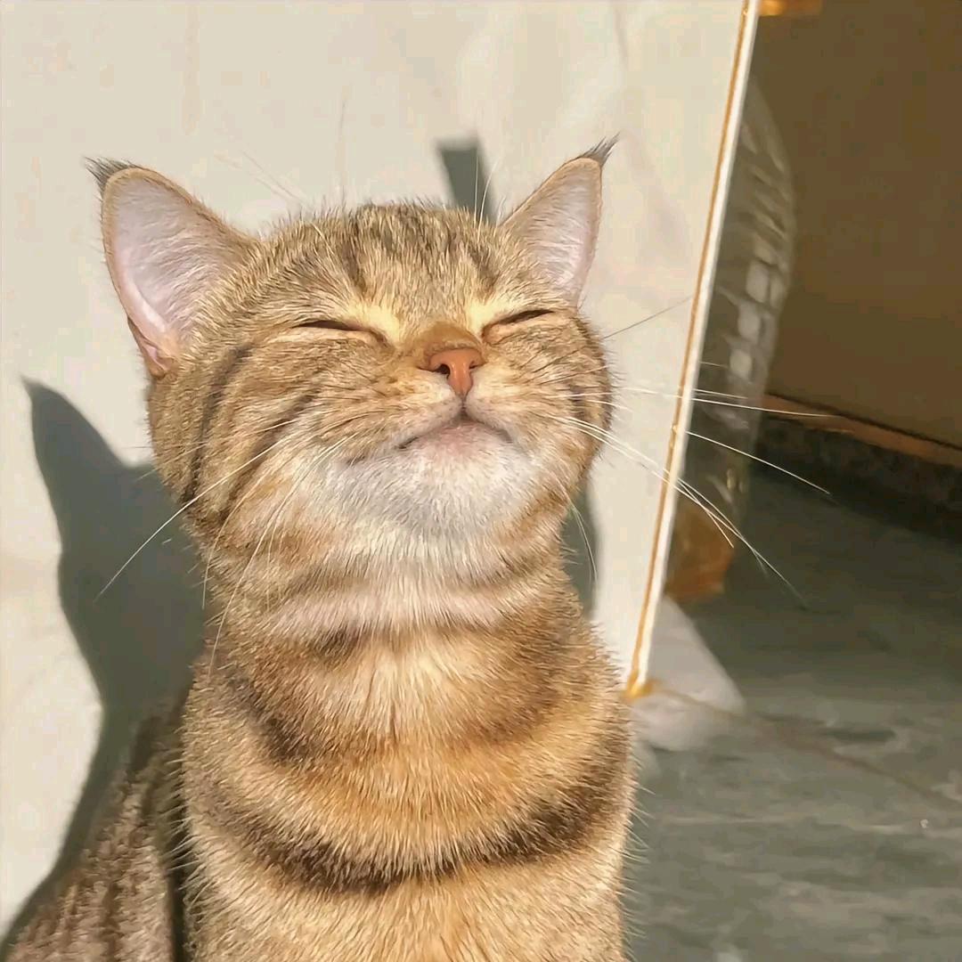 emm的星星