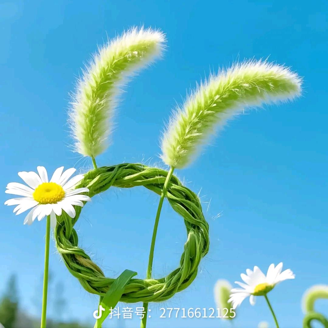 夏日的风