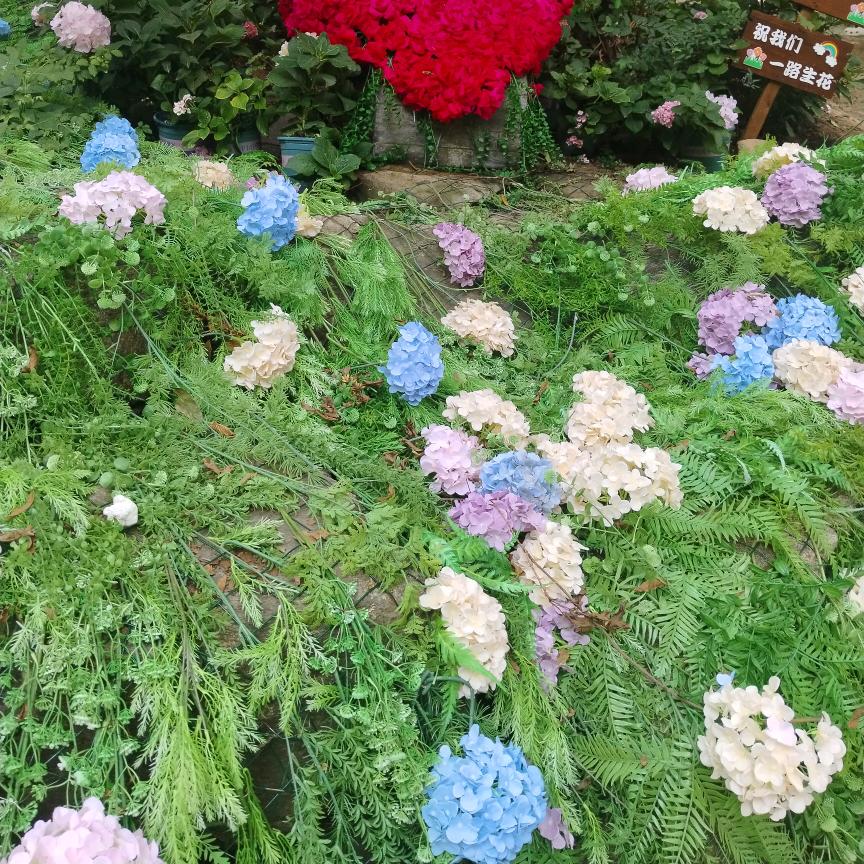 蓝天燕子