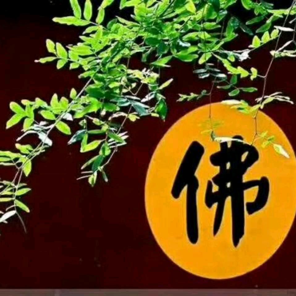 好人一生平安
