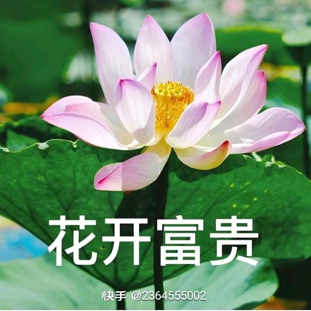 一夜暴富