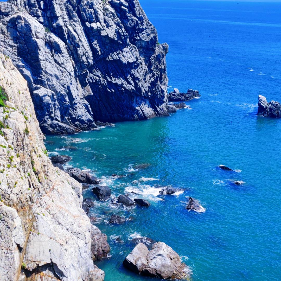 萤火虫，，，，