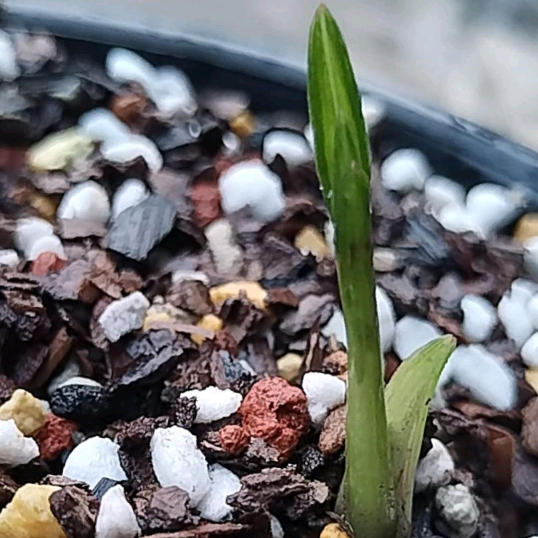 💹幸🇨🇳运🐕之🌎星⭐️