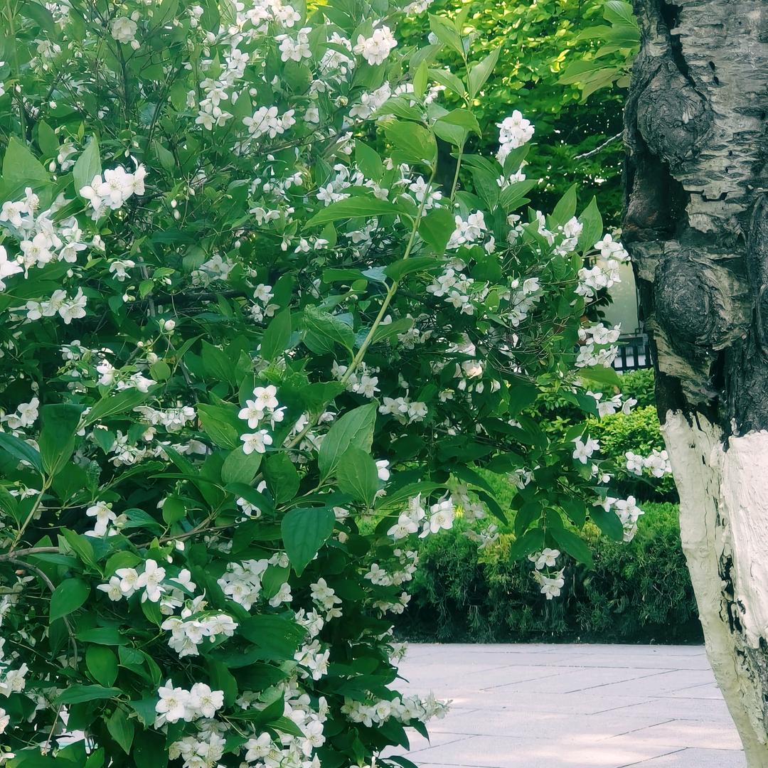 汉庭酒店天津东丽开发区地铁站酒店