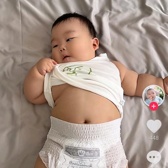 太阳单身果